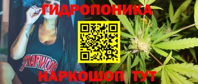 спайс Кулебаки